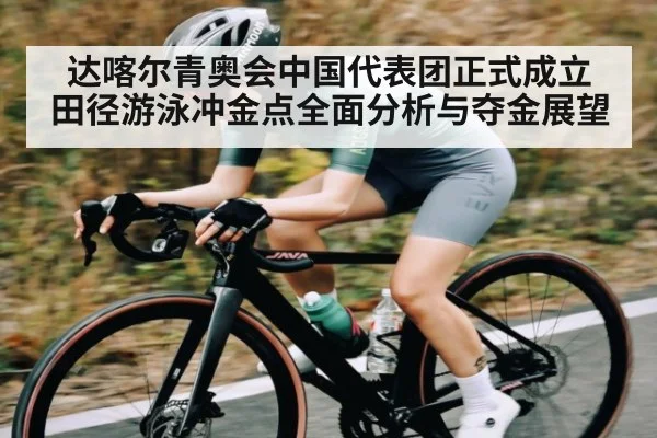 达喀尔青奥会中国代表团正式成立 田径游泳冲金点全面分析与夺金展望 - kaiyun